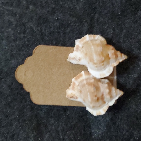 Assorted Shell Earrings - Picture 10 of 16